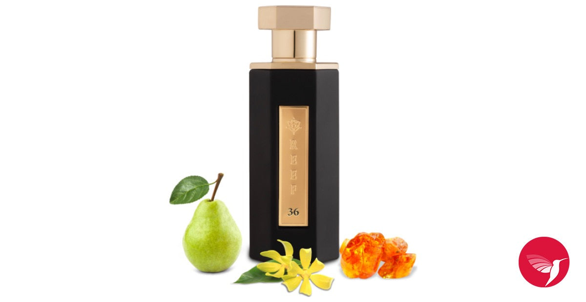 REEF 36 EXTRAIT DE PARFUL